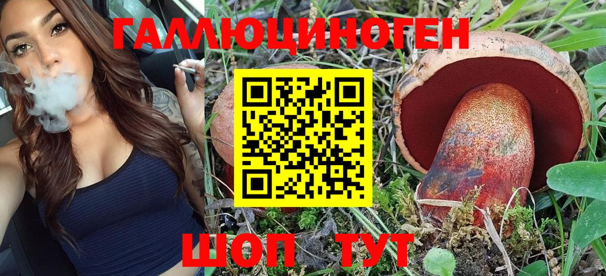 Псилоцибиновые грибы Psilocybe Новоуральск